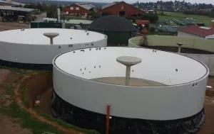 Biogas